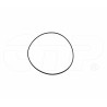 SEAL O RING - SELLO TIPO O 199-0759