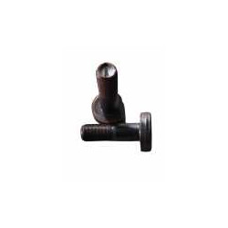 SEGMENT BOLT - PERNO DE SEGMENTO +59714