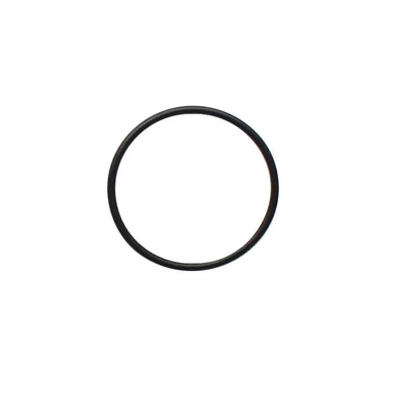SEAL O-RING - SELLO TIPO O-RING 07000-12065