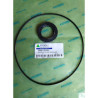 38Q6-40100KT-SEAL-KIT