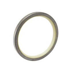 SEAL DUST - SELLO Y020-100100