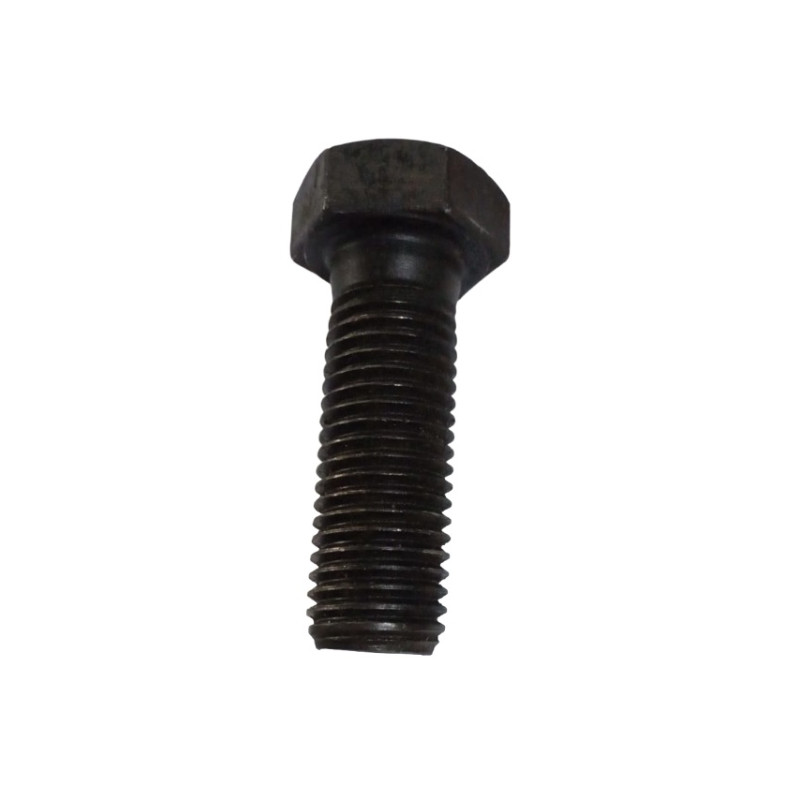 BOLT HEX - PERNO HEXAGONAL M22x3x70